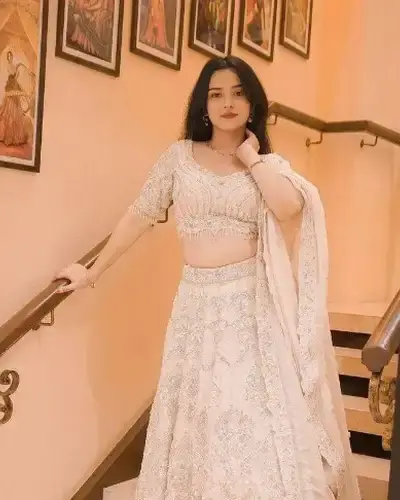 Escort Venkatagiri